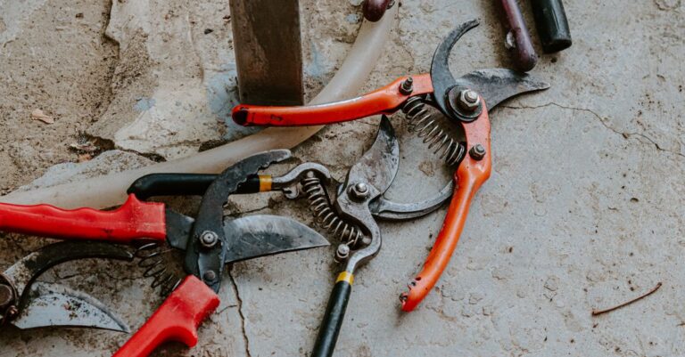 découvrez les meilleures techniques d'élagage pour entretenir vos arbres et arbustes, favoriser leur croissance et sublimer votre jardin.
